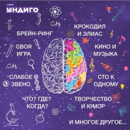 Квиз Лига Индиго МысЛИ в баре: Мемы